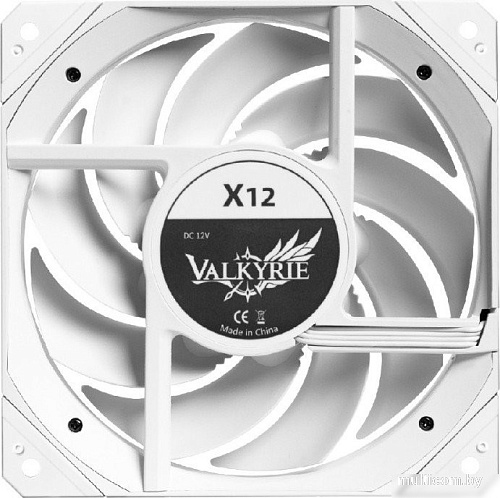 Вентилятор для корпуса Valkyrie X12 ARGB (белый)