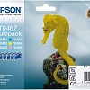 Картридж Epson EPT04874010 (C13T04874010)