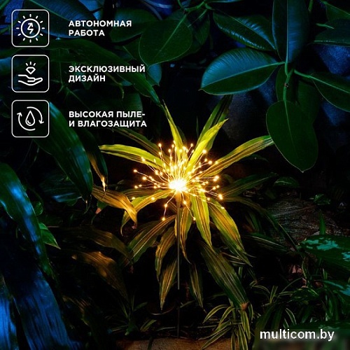 Садовый светильник Rexant Салют 602-2435