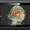 Графический планшет XP-Pen Artist 12