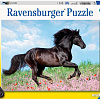 Пазл Ravensburger Прекрасная лошадь 12803 (200 эл)