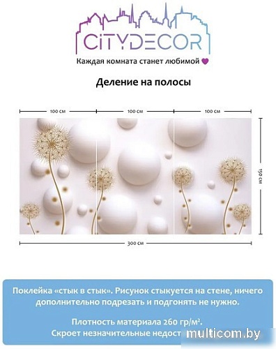 Фотообои Citydecor Абстракция 33 300x150