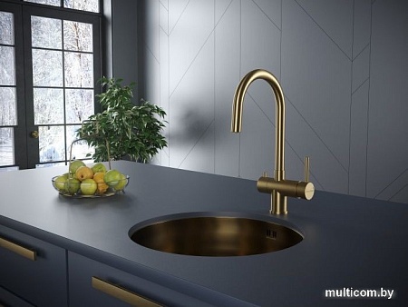 Смеситель Paulmark Heller He213218-BG (брашированное золото)