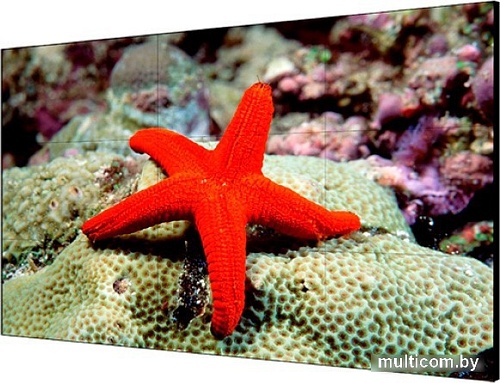 Hikvision DS-D2055LU-Y