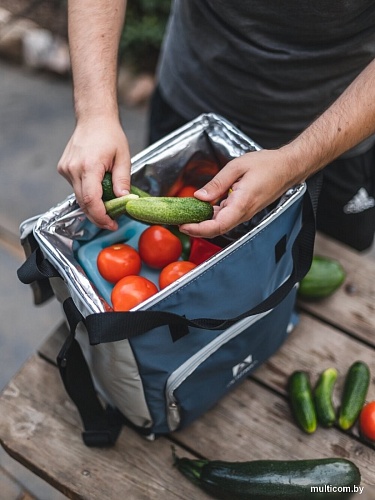 Термосумка Арктика 3001-20 20л (синий)