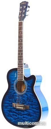 Акустическая гитара Elitaro E4030 BLS