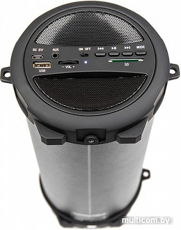 Беспроводная колонка Dialog AP-920