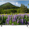 Телевизор Sony KD-49XF7077