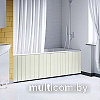 Фронтальный экран под ванну Comfort Alumin Серебряный 1.5