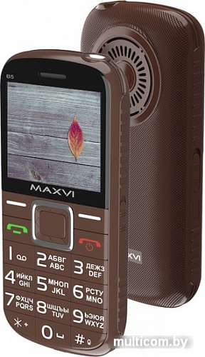Мобильный телефон Maxvi B5 (коричневый)