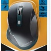 Мышь Canyon CNS-CMSW14DG