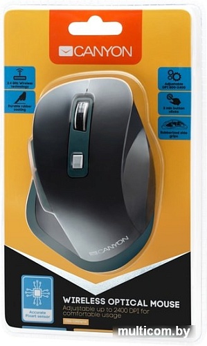 Мышь Canyon CNS-CMSW14DG