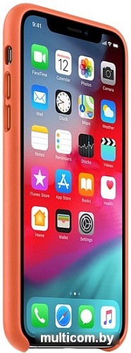 Чехол Apple Leather Case для iPhone XS (теплый закат)