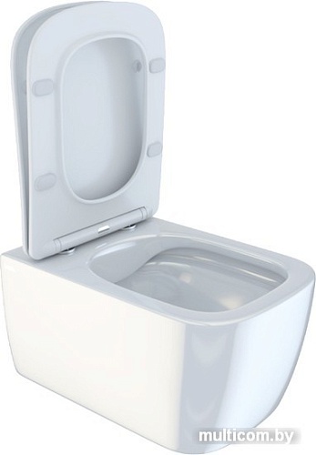 Унитаз IDDIS Bridge BRIRDSEi25