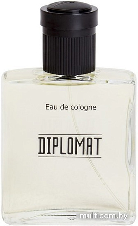 Dilis Parfum Diplomat EdC (100 мл)