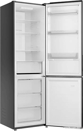 Холодильник Candy CFN6200B