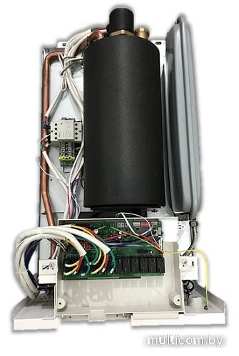 Отопительный котел Thermex Quantum E915