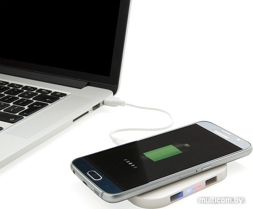 Беспроводное зарядное XD Collection P308.923