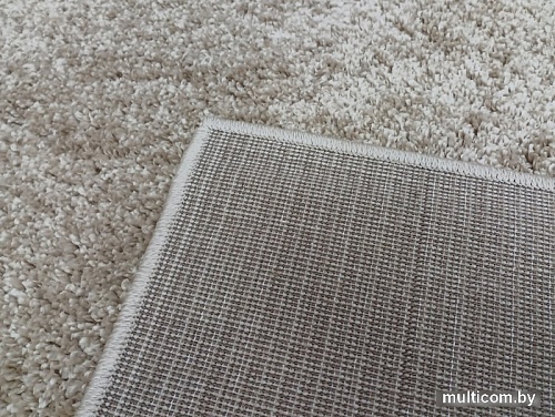 Ковер для жилой комнаты Витебские ковры Шегги прямоугольник 18С34-ВИ sh 57 (1x3)