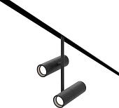 Трековый светильник Maytoni Elti Duo TR005-4-2X12W-DS-B