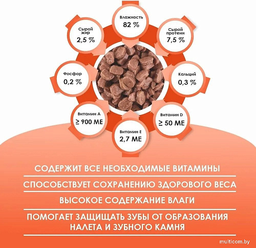 Консервированный корм для кошек Kissa С индейкой в соусе (28x75г)