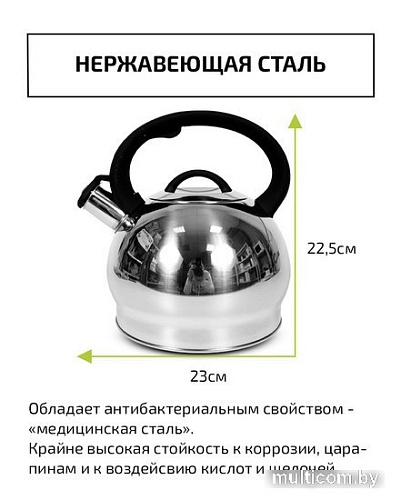 Чайник со свистком TimA WTK250