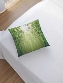 Чехол на подушку JoyArty Природная загадка sl_13725