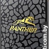 SSD Apacer Panther AS340 120GB AP120GAS340G-1