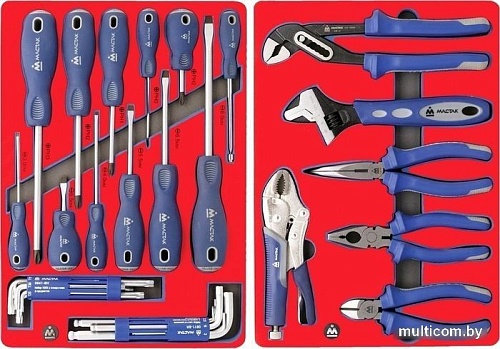 Универсальный набор инструментов Мастак Мастер 52-06205G (205 предметов)