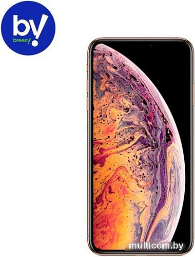 Apple iPhone XS 256GB Восстановленный by Breezy, грейд B (золотистый)