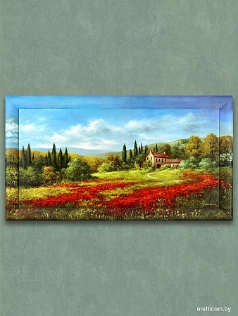 Картина Декарт 8Л0382