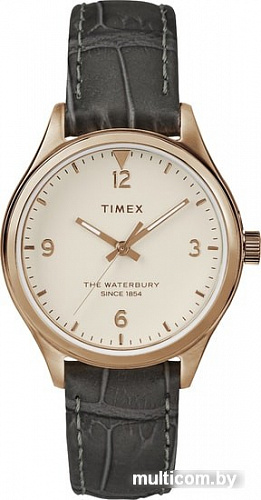 Наручные часы Timex TW2R69600