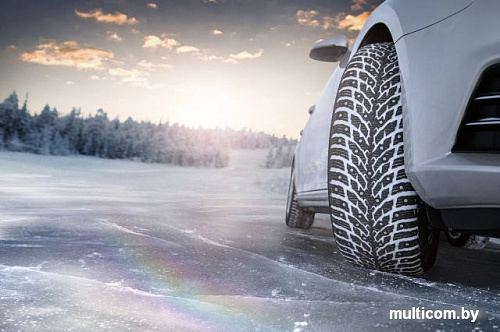 Автомобильные шины Nokian Hakkapeliitta 9 205/65R16 95T