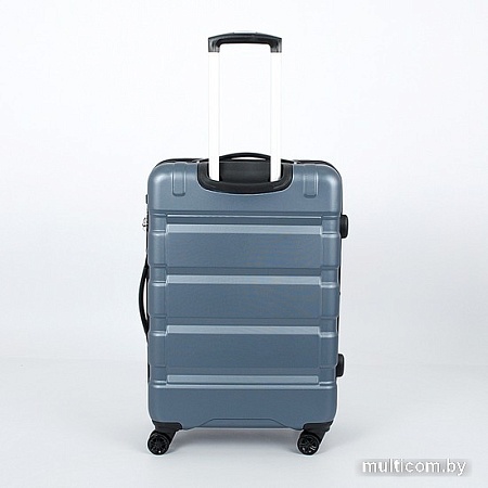 Чемодан-спиннер Francesco Molinary 336-161426/3-24 (серый)