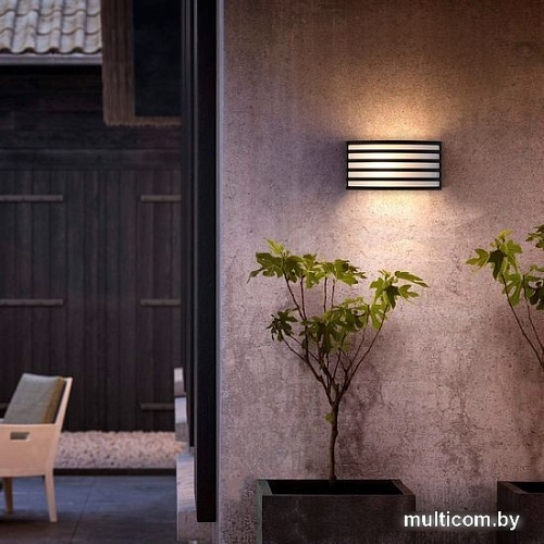 Уличный настенный светильник Elektrostandard Techno 1409 (черный)