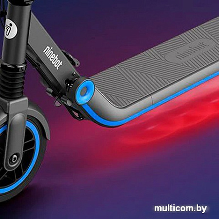 Электросамокат Ninebot Zing E10 (черный)