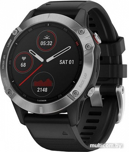 Умные часы Garmin Fenix 6 (серебристый/черный)