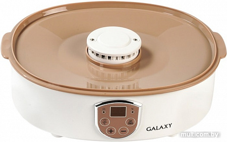 Сушилка для овощей и фруктов Galaxy GL2637
