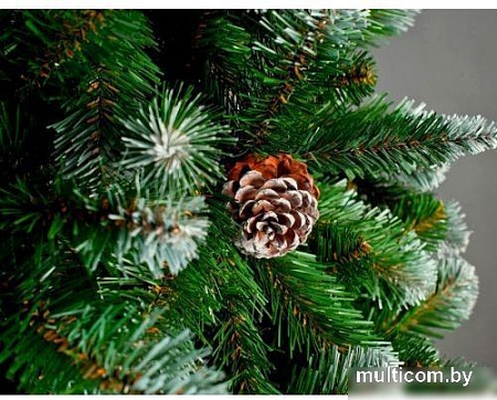 Ель Merry Bear Моника 2.4 м (с шишками и снегом)