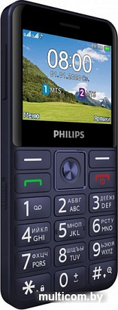 Мобильный телефон Philips Xenium E207 (синий)