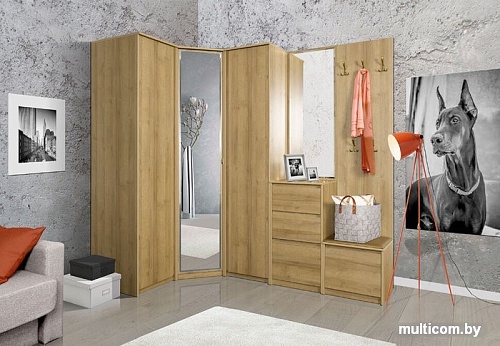 Заречье Шервуд Ш13 (дуб ривьера)