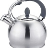 Чайник со свистком TimA K-1609