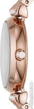 Наручные часы Emporio Armani AR11342