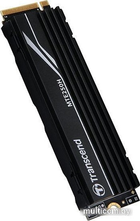 SSD Transcend 250H 1TB TS1TMTE250H