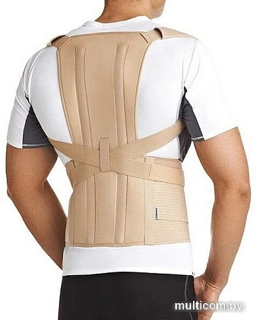 Корректор осанки Orlett TLSO-250(A) (M)