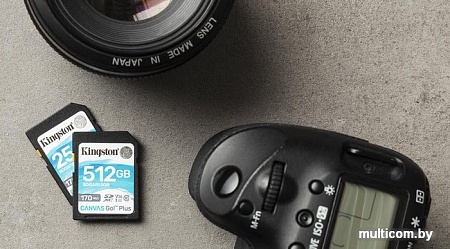 Карта памяти Kingston Canvas Go! Plus SDXC 512GB