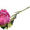 Искусственный цветок Forgarden Пион BN10774 (малиновый)
