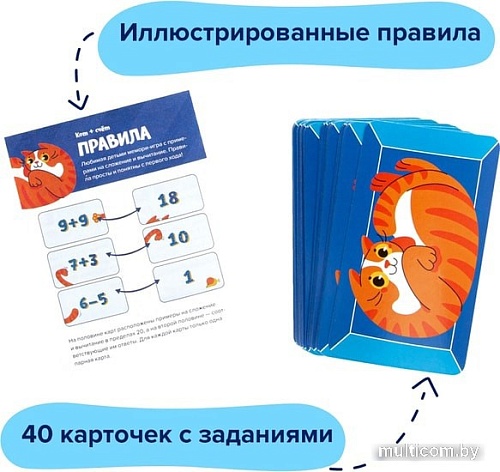 Развивающая игра Brainy Games Кот + счет УМ517