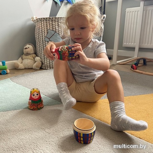 Развивающая игра Брестская Матрешка С русскими мотивами и ветвями рябины (набор 7 шт)