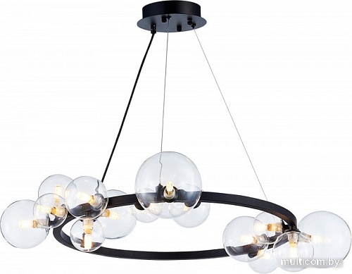 Подвесная люстра Myfare George MR2040-14P